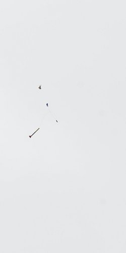 2013 Suche 29062013 Michal